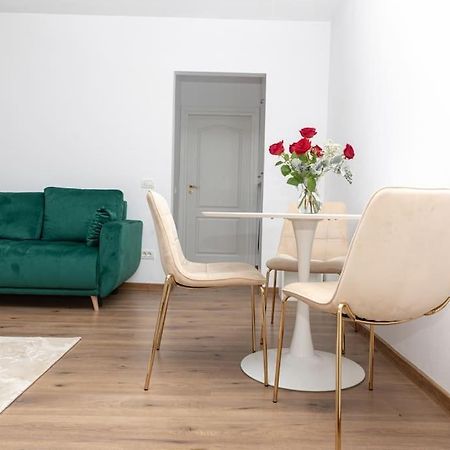 Enescu 3 City Center Flat Timişoara Extérieur photo