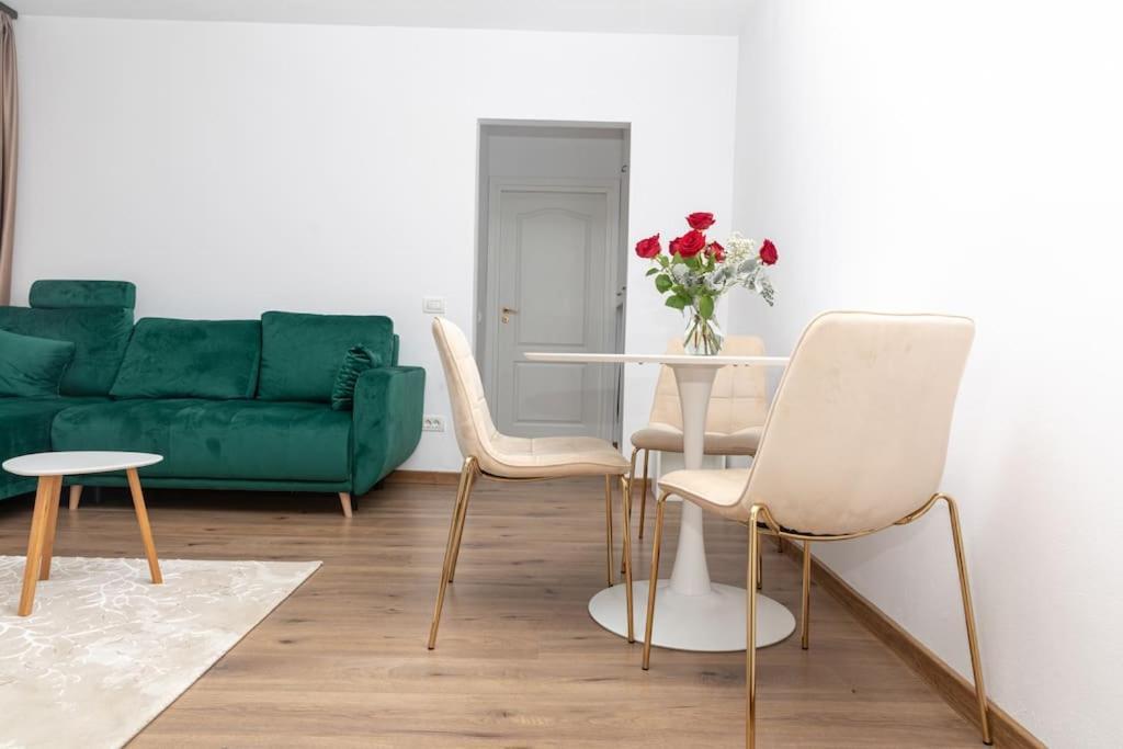 Enescu 3 City Center Flat Timişoara Extérieur photo